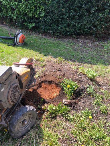 Stump Grinding