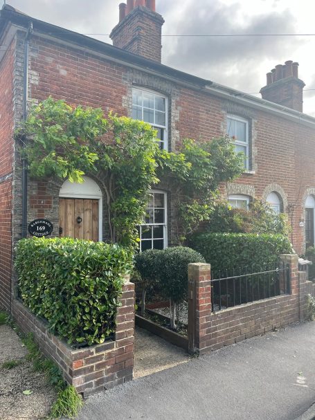 Hedge Trim