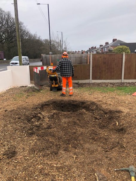 Stump Grinding