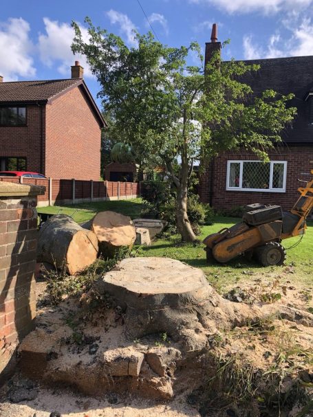 Stump Grinding