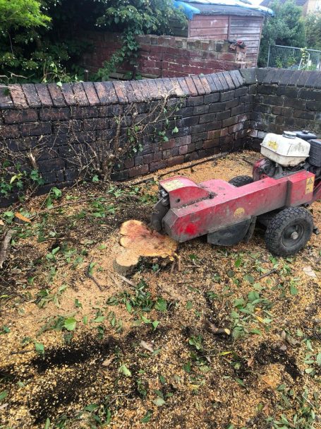 Stump Grinding
